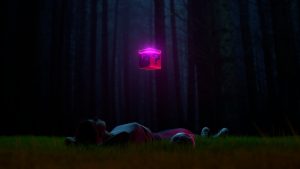 Social media algorithms