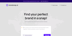 brandsnap.ai
