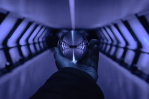 Social media performance